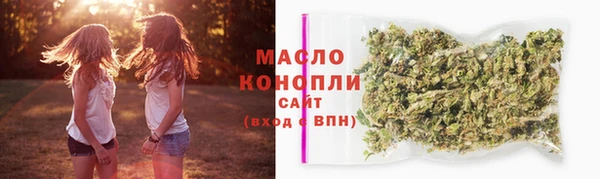 spice Богородицк
