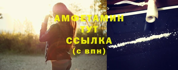 spice Богородицк